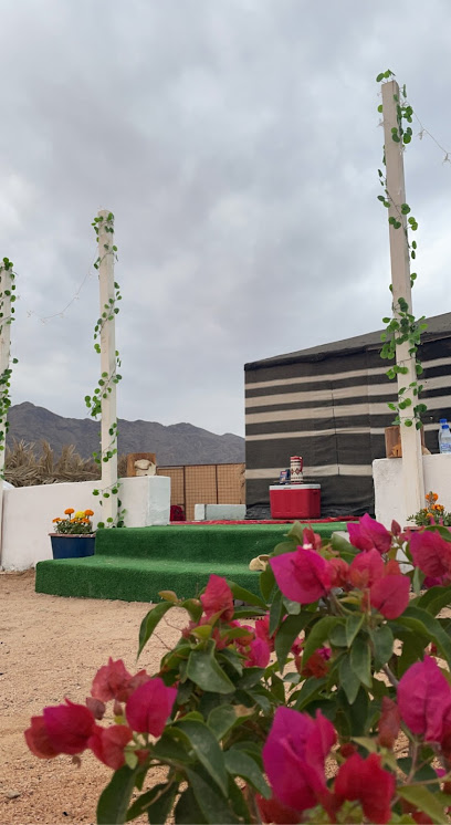 مخيم اهل بونا - Saudi Arabia|Al Madinah Al Munawwarah 42754|MG7R+82