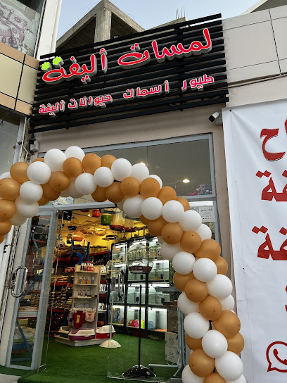 لمسات أليفة للحيوانات الأليفة - Saudi Arabia|Al Bahah 65525|Alhawiyah|الإمام محمد بن سعود