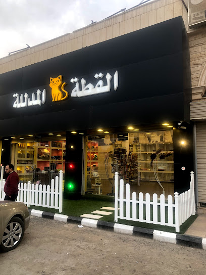 متجر القطة المدللة - Saudi Arabia|Hafar Al Batin 39953|Al Khalidiyah|Prince Sultan Ibn Abdulaziz Rd