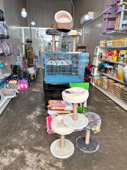 لولي كات - Saudi Arabia|Al Khobar 31952|Al Rakah Al Janubiyah|Khaled Ibn Al Walid St