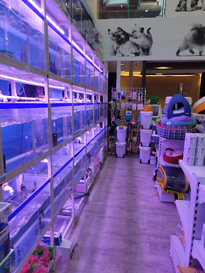 arnoup pets store _ متجر ارنوب للحيوانات الاليفة و مستلزماتها - Riyadh 13245