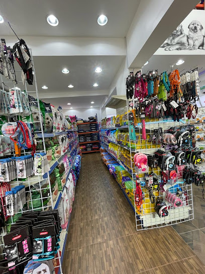 Golden Cat Store for Pet Supplies - Saudi Arabia|Jeddah 23621|Al Mohammadiyyah|Safia Bint Abdulmutalib St