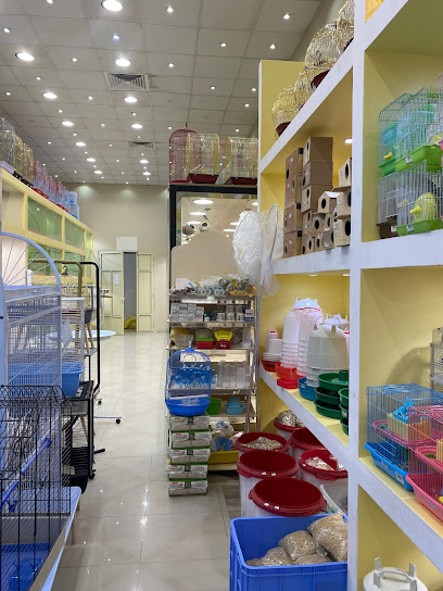 Animal pet shop - Saudi Arabia|Hafar Al Batin 39953|Al Khalidiyah|الامير محمد بن فهد