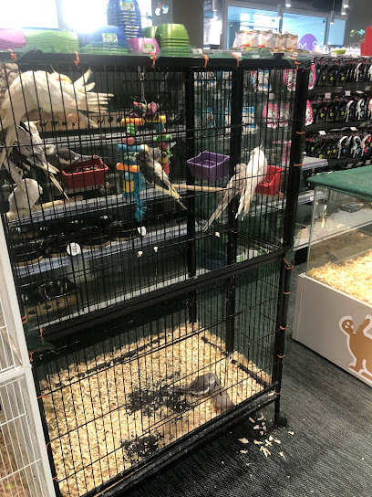 بتلاند | Petland - Saudi Arabia|Jeddah 23521|6493 احمد العطاس، AZ Zahra District