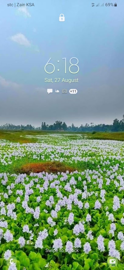 পেন্টিং লাইফ স্টাইল - Saudi Arabia|Taif 29353|Al Rayyan|King Fahad rd