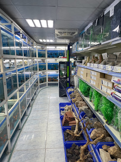 Alkhars pet store - Saudi Arabia|Al Hofuf 36364|Alfaisaliyah 1st|2425