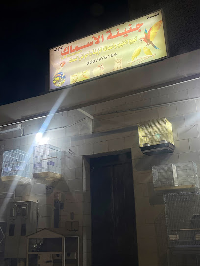 جنة الطيور - Al Qatif 32617
