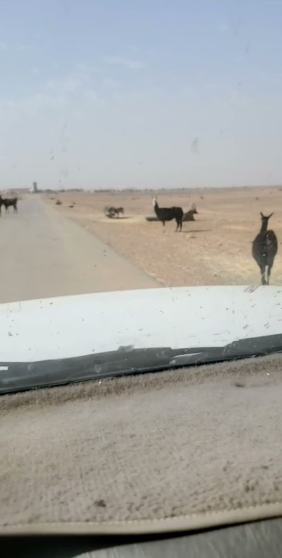 أستديو تصوير العروبة - Saudi Arabia|Sakaka 72311،|حي