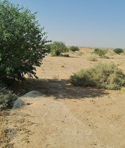 المنتزه البري بالخبراء -  -