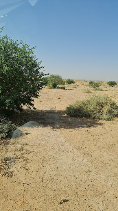 المنتزه البري بالخبراء - Saudi Arabia|52715