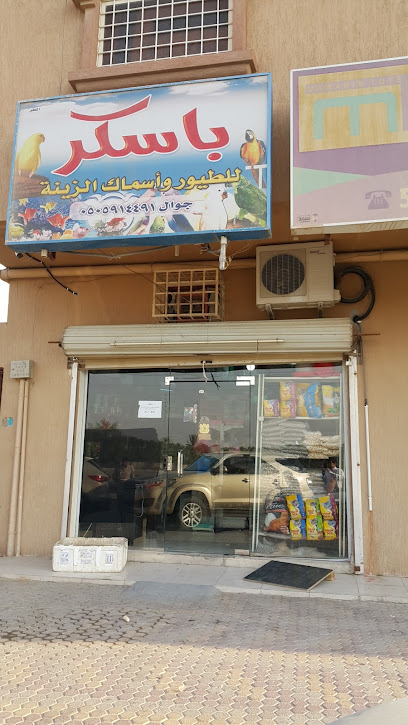 Pascr birds and ornamental fish - Saudi Arabia|Al Fodhool 36371|طريق الجفر، ،،،|9PF9+X6Q
