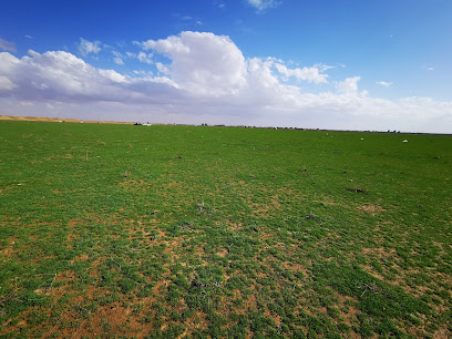 روضة أم المجالس -  -