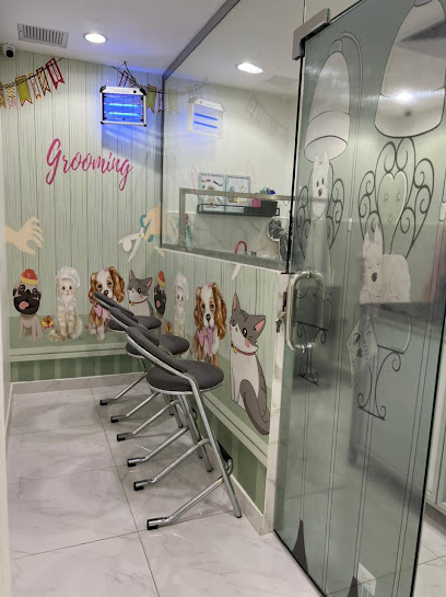 عيادة الكفوف الناعمة البيطرية | Soft Paws Veterinary Clinic - Saudi Arabia|Yanbu 46436|2380 الملك عبدالعزيز ابن عبدالرحمن سعود، YAGA2380،|7373، حي الربيع،