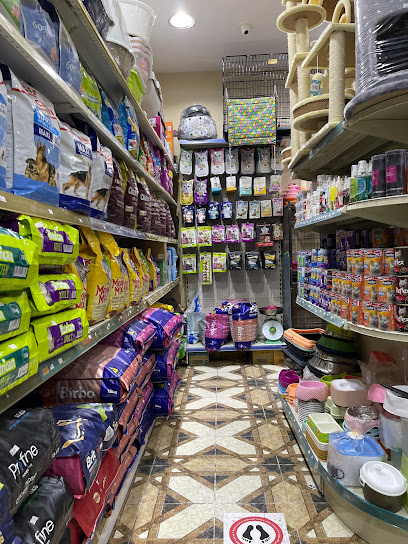 Cats World - دنيا القطط - Saudi Arabia|Jeddah 23534|An Nuzhah|Hira St