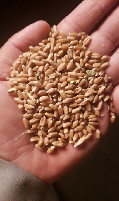 Al Madaen Mills - Saudi Arabia|Al Namas 67392|Al Salam
