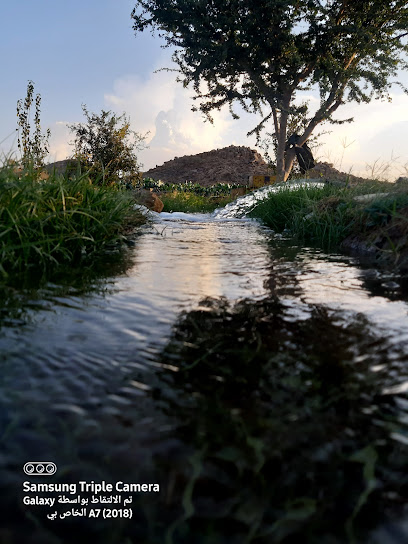 مصور فوتوغرافي ( لايوجد محل ) -