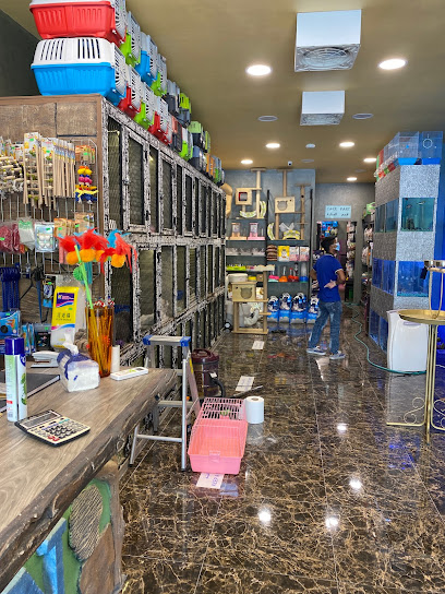 BEN United Pet - بين المتحدة للحيوانات - Saudi Arabia|Riyadh|شارع الامير عبدالعزيز بن مساعد بن جلوي|شارع الضباب