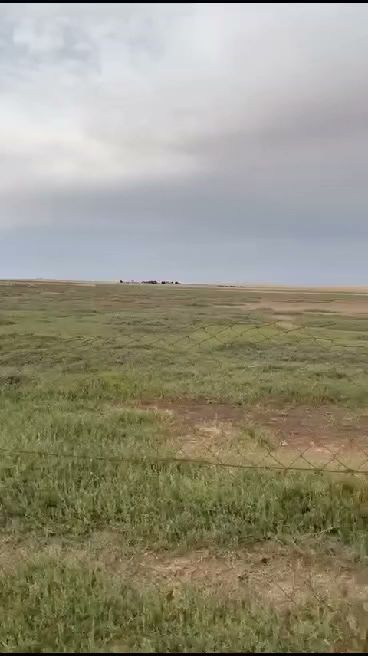 Happy Land Farm HLF - مزرعة أرض السعادة - Saudi Arabia|Mulayjah 37432|7F2V+Q8