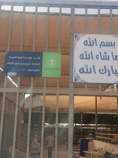 شركة مرابي نجد سوق الاغنام - Saudi Arabia|Riyadh 14512|6887