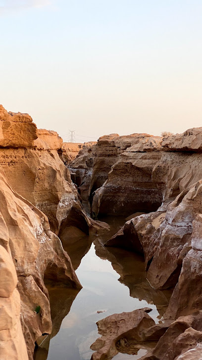 صلاصل(فيضة) SalailOasis - Saudi Arabia|Al Quwarah 52634|MC6Q+7J5