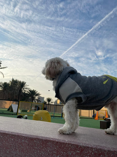 Pawsers Pet Care - Saudi Arabia|Al Khobar 34424|3705 عمرو بن مره، 9177|Al Yarmouk