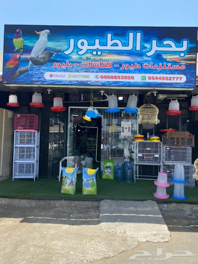 بحر الطيور - Saudi Arabia|Taif 26519|C36