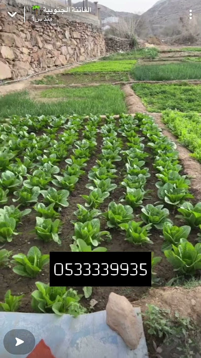 مزرعة ورقيات وخضار عضوية - Saudi Arabia|Abha 62573|طريق السودة