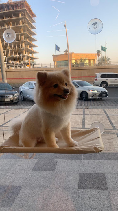 The Social Pup - ذا سوشل بوب - Saudi Arabia|Riyadh 11461|حي النزهة|King Abdullah Rd