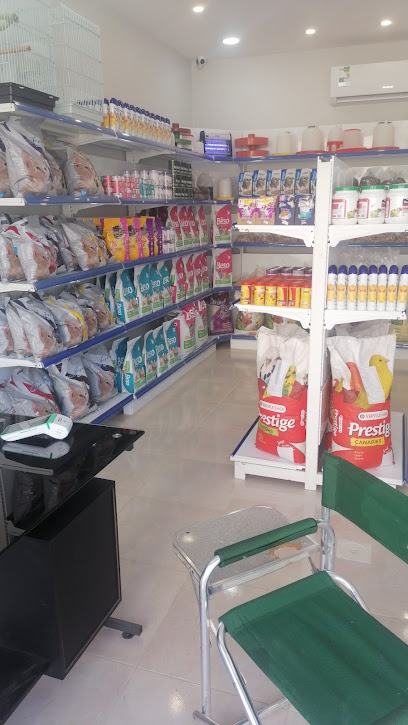 اسماء للطيور والقطط - Saudi Arabia|Yanbu 46422|Al Amarah|Ali Bin Abi Talib Road