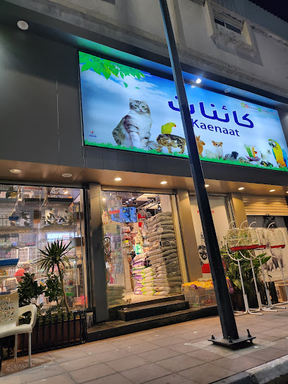 كائنات - Saudi Arabia|Taif 26513|شارع النزهة https://maps.app.goo.gl/d19k5t97a3fav6i18