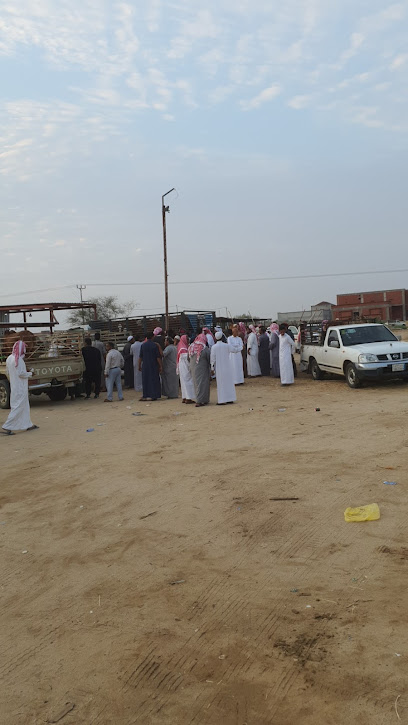حراج ثلاثاء يبة - Saudi Arabia|As Sahwah 28961،|JUPB6340،|6340 22، 4534،
