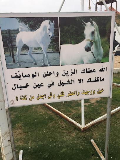 مزرعه وحديقه ارك - Saudi Arabia|Hafar Al Batin 31991،|العام|8WXH+R7P