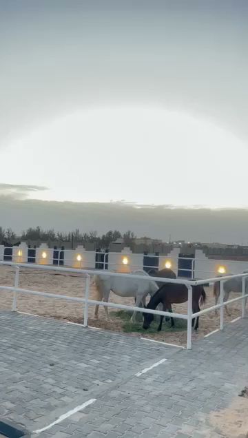 مربط خيول النايف - Saudi Arabia|Feyadh Tabrjal 74785|H46P+39