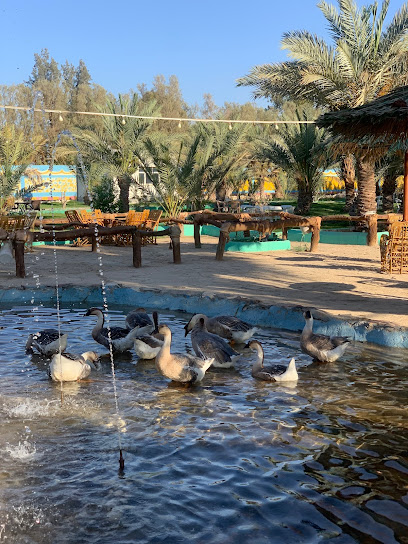 منتجع الغبين الريفي السياحي - Saudi Arabia|Al Qurayyat 77449|Unnamed Road