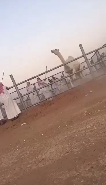 ملعب مدرسة الامام الشاطبي لتحفيظ - Saudi Arabia|Dumat al-Jandal 74664|Alazizyah|RV22+CQQ