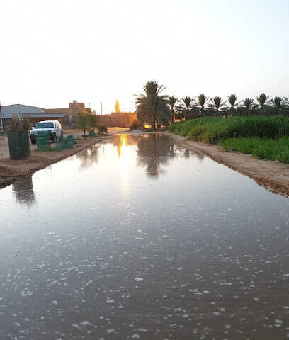 مربط الجود للخيل العربية الاصيلة -  - +966 59 987 2243