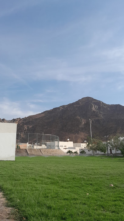 Park Football Pitch - Saudi Arabia|42321|7607 عبدالرحمن بن الاسود بن يزيد، سيد الشهداء، المدينة المنورة 42321 3639،