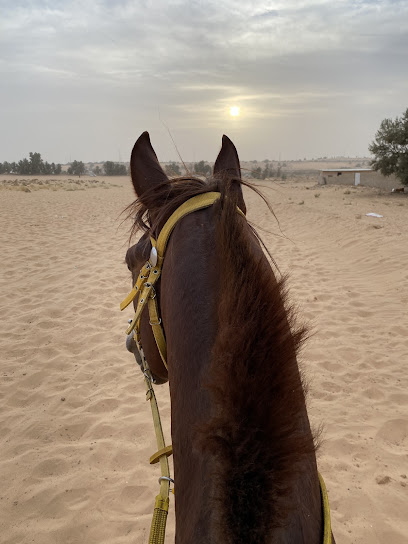 اسطبل ابو سعود الرسيني - Saudi Arabia|Buraydah 43216|Al Hadyiah