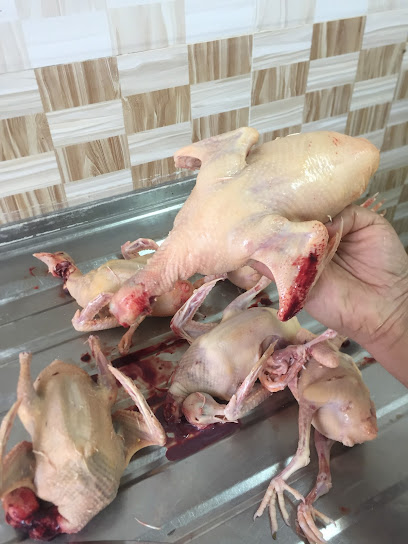 بيت الزاجل - Saudi Arabia|Hafar Al Batin 39918|2715 أبو بكر الصديق، 8563