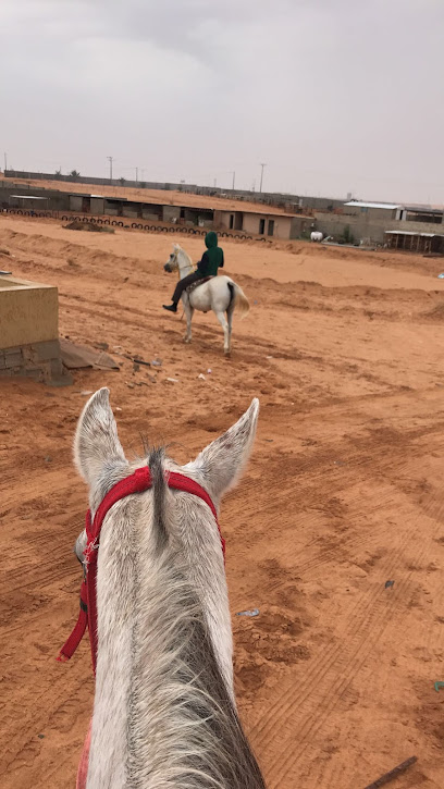 مربط العريني (OR) - Saudi Arabia|56325، 56325،