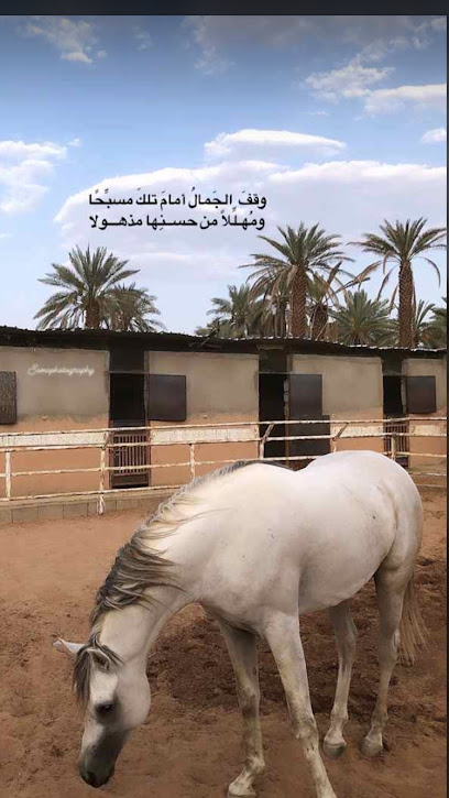 Nayl Horse Stud - Saudi Arabia|Al Madinah Al Munawwarah 42336|As Sadiqiyyah|HH6P+J93