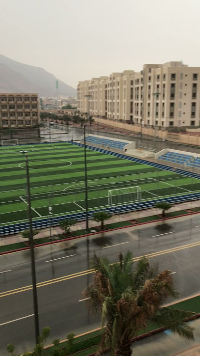 Football Pitch - Saudi Arabia|Al Madinah Al Munawwarah 42351|2831