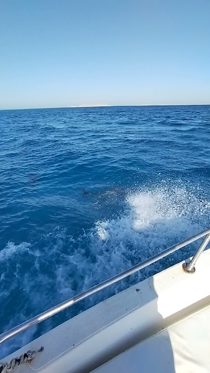 Umluj diver center boat location - Yanbu 46422