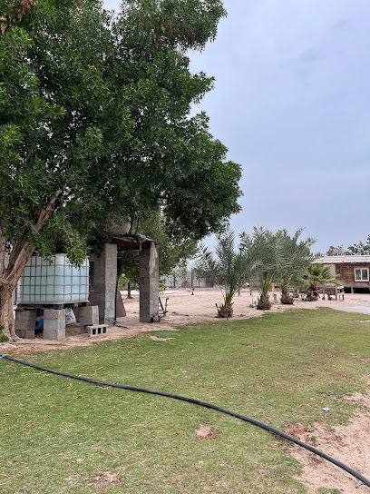 مربط العذب للخيل العربيه الأصيله - Saudi Arabia|Safwa 32685|An Nahdah|GVVW+976