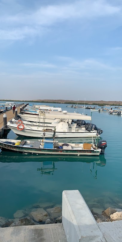 Masterpieces of the islands - Saudi Arabia|Farasan Island|العام