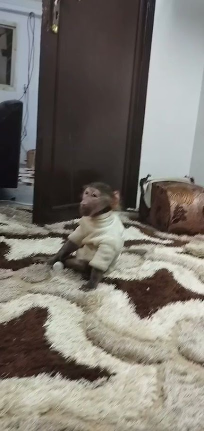 جامعة حفر الباطن بنات - Saudi Arabia|6182، المنار، حفر الباطن 39812 5062،