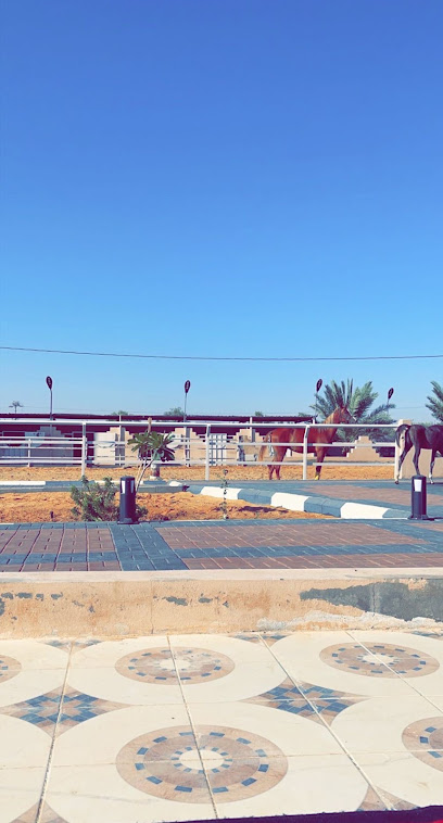 اسطبل الروشن - Saudi Arabia|Tabuk 47732|9CFV+PXM