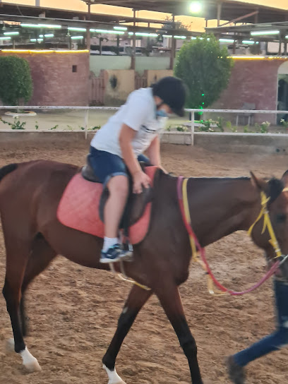 Al-Muntaha Equestrian Center - Saudi Arabia|Jeddah 23648|8778