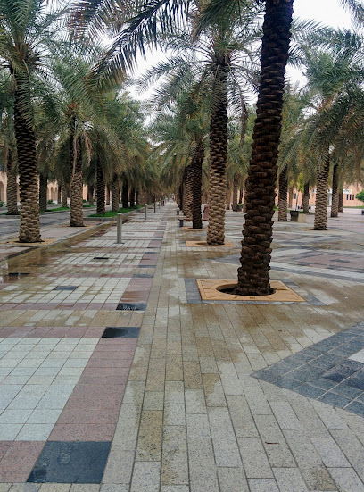 College of Computer Sciences and Information Technology - Saudi Arabia|Al Hofuf 36362|King Faisal University 1st|8HMX+RXH