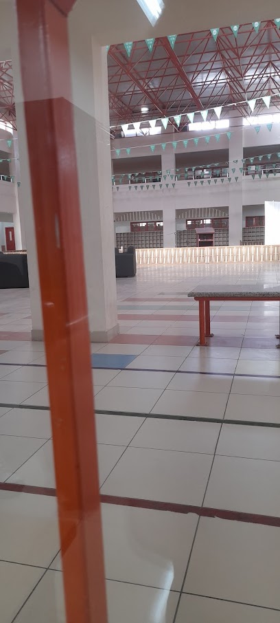 Musaab bin Omair School - Saudi Arabia|Dammam 32253|Ibn Khaldun|C38W+C22
